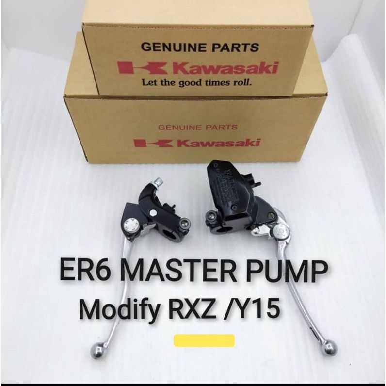 Kawasaki er6 master deals pump