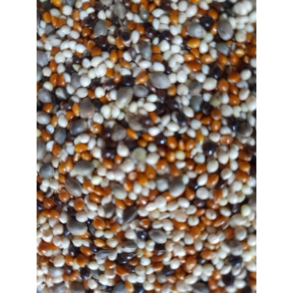 Mix 7 types of millet 1kg | Shopee Malaysia