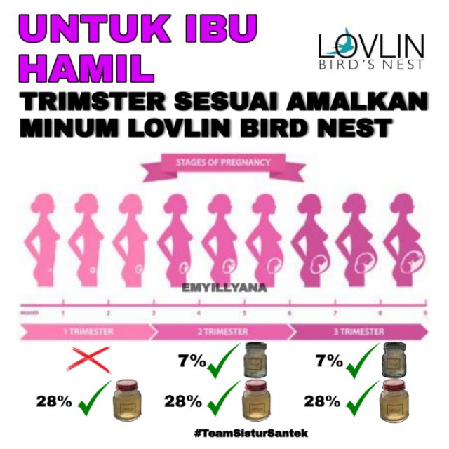🔥🔥LOVLIN 28%🔥🔥PALING MELETUP & TERHANGAT🔥🔥 | Shopee Malaysia