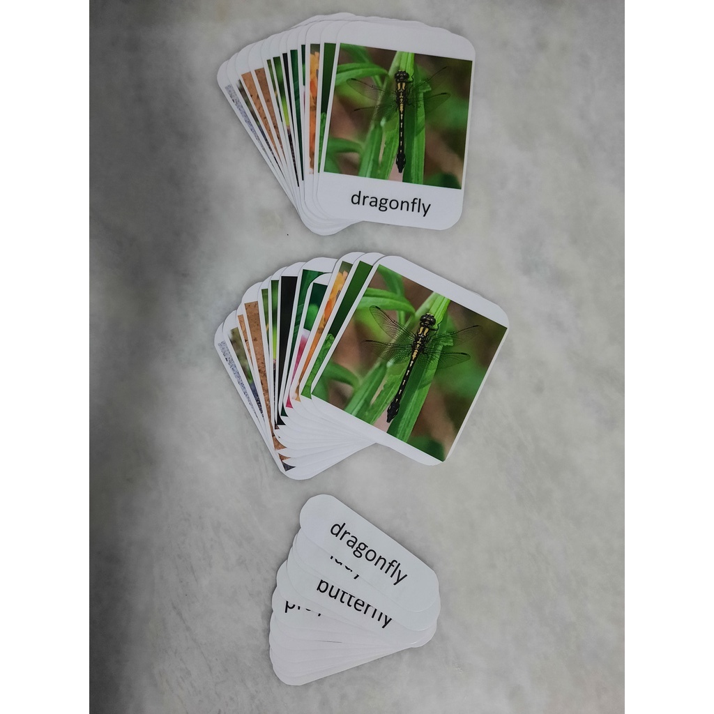 Insect Toy Realistic Insect Model Montessori Animal Match Miniature ...