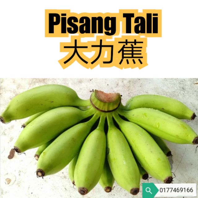 🇲🇾Ready Stock🇲🇾1kg/2kg Grad A Pisang Rastali / Tali / Banana Rastali🍌 ...