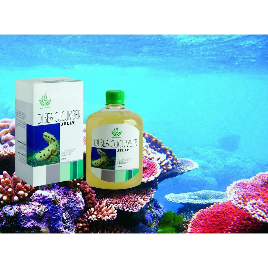 SEA CUCUMBER JELLY 500ml Shopee Malaysia