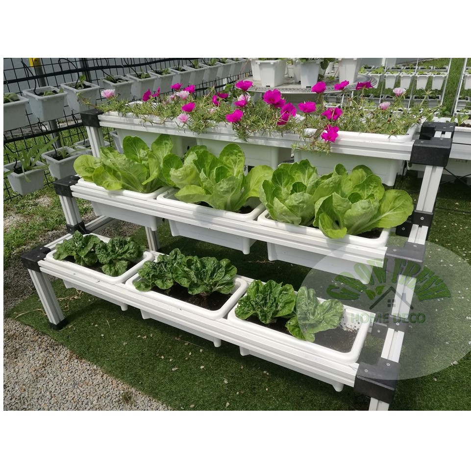 HYDROPONIC set PLANTER BOX/planter box PASU SAYUR [rectagular] 1 SIDED ...