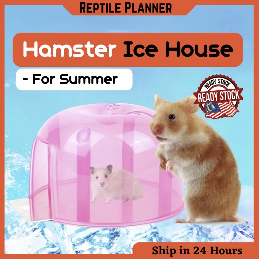 Hamster 2024 igloo house