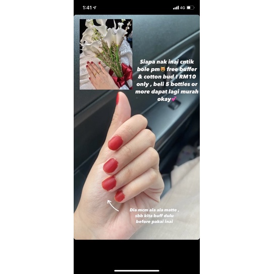 Inai ROSE mesra wudhuk inai asli cantik maroon & red chilli | Shopee ...