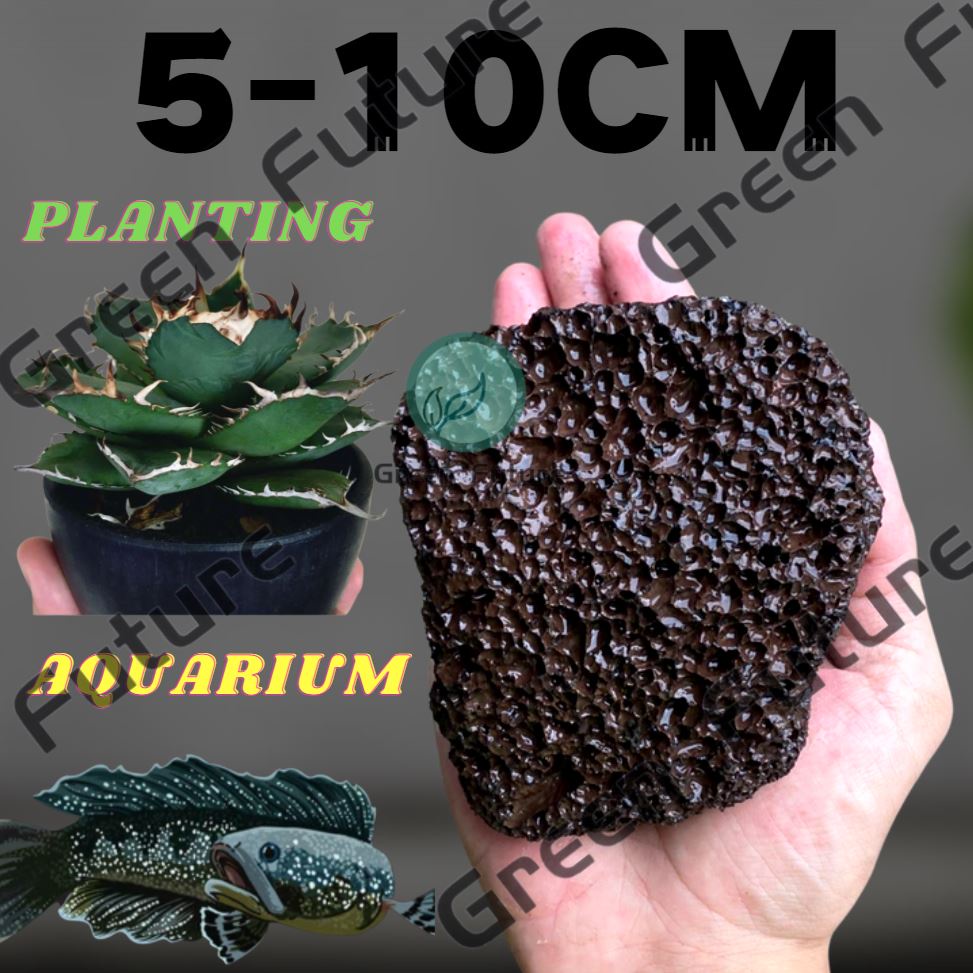 Cm Big Black Volcanic Lava Rock Aquarium Stone Batu Gunung Berapi