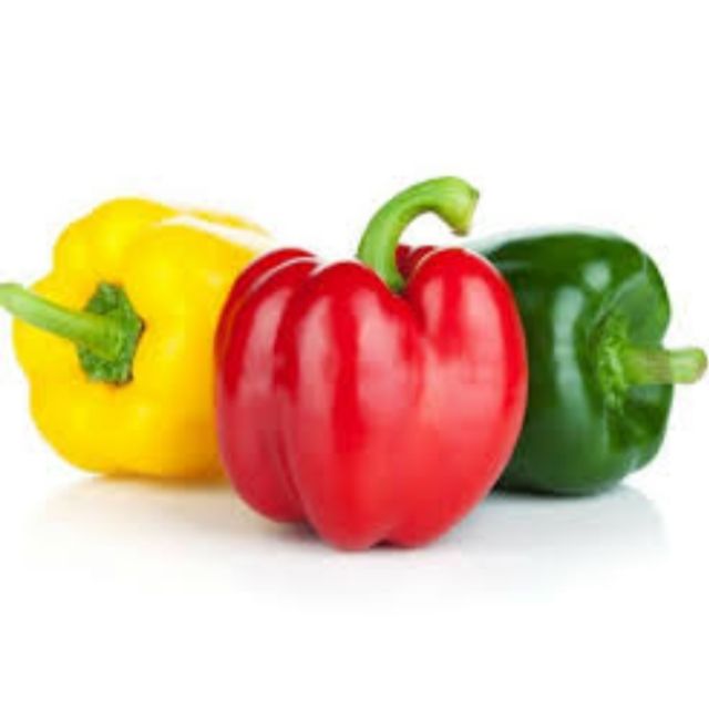 10 Pcs Biji Benih Lada Benggala Sweet Peppers Green Red And Yellow