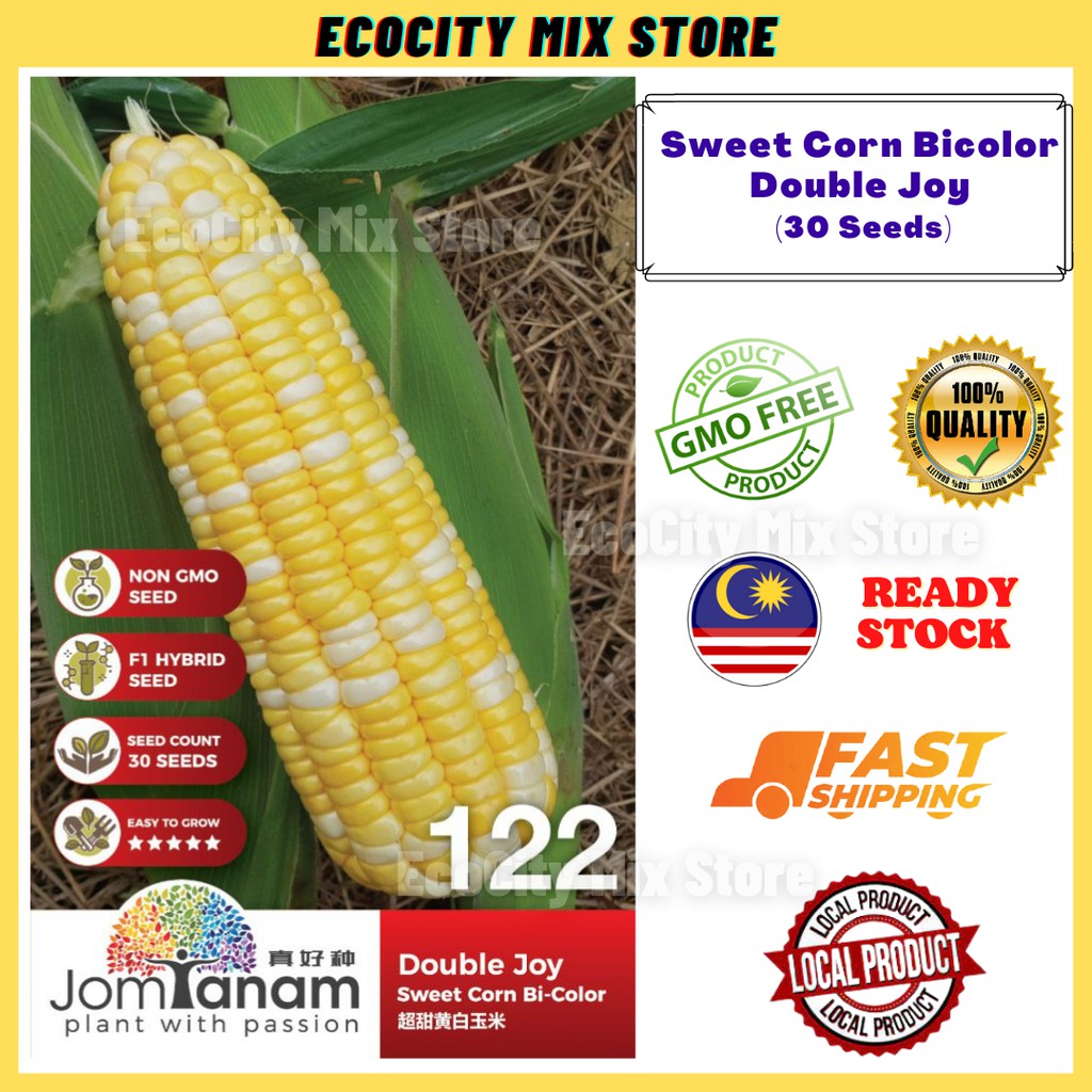 Sweet Corn Bicolor Double Joy (30 Seeds) Benih Jagung Manis Jagung ...