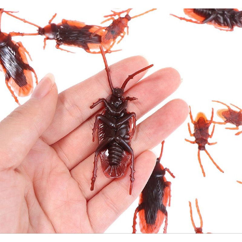 Fake Cockroach Fake Rubber (5 pcs) | Shopee Malaysia