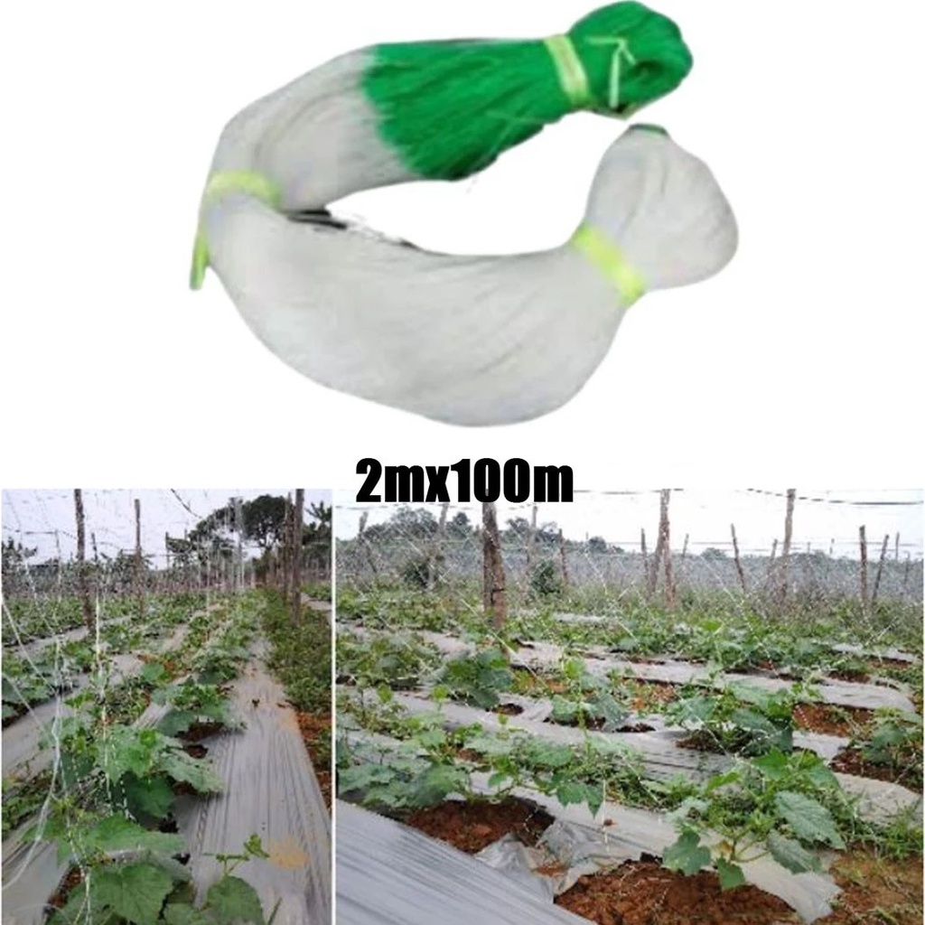 2M x 100M Cucumber Net Netting Jaring Timun Plant Support Net Gardening ...