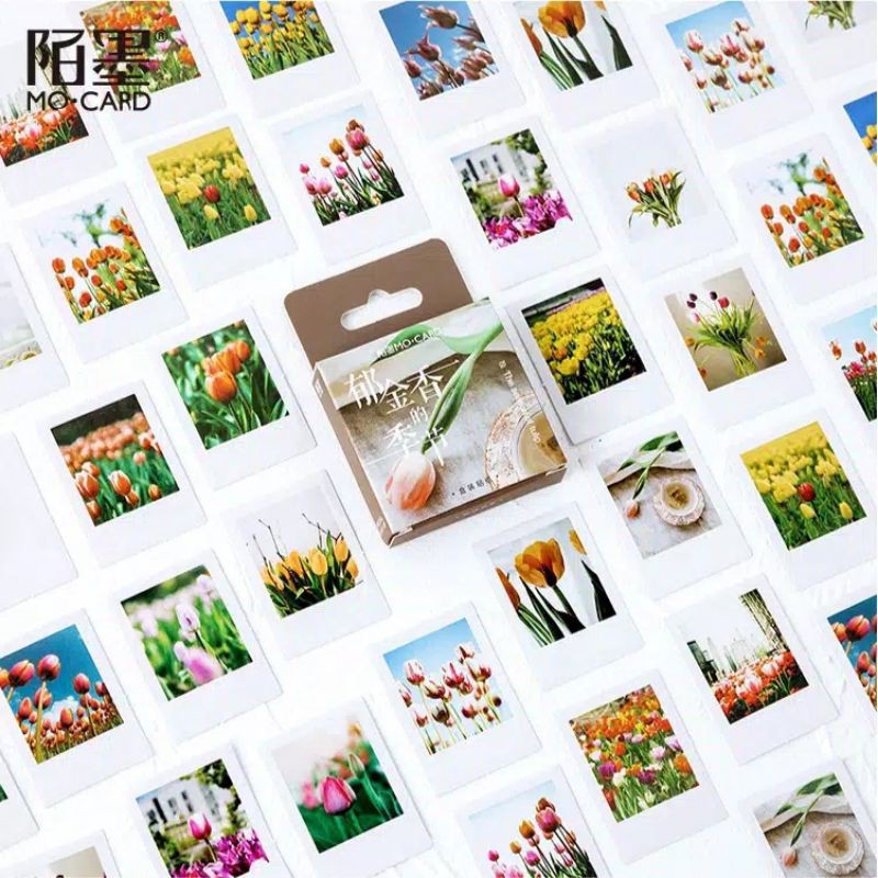 (46 Pcs) deco sticker / tulip sticker box model polaroid aesthetic ...