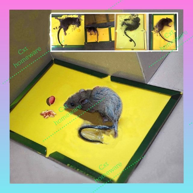 Green Killer Mouse & Rat Sticky Glue Trap Board Pest Control Rats Catcher  Papan Pelekat Tikus