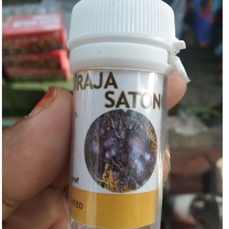 PIL RAJA SATONG UNTUK MERAWAT PELBAGAI PENYAKIT (10BIJI) | Shopee Malaysia