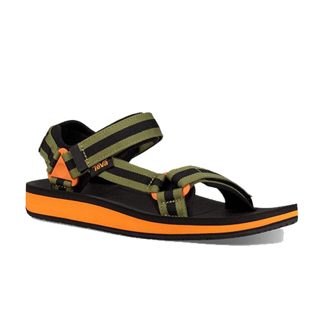 Teva publish store