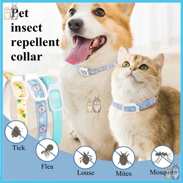 Dog Insect Repellent Collars Cat Antiflea Collars Antilice In Vitro Mite Collars Pets Flea