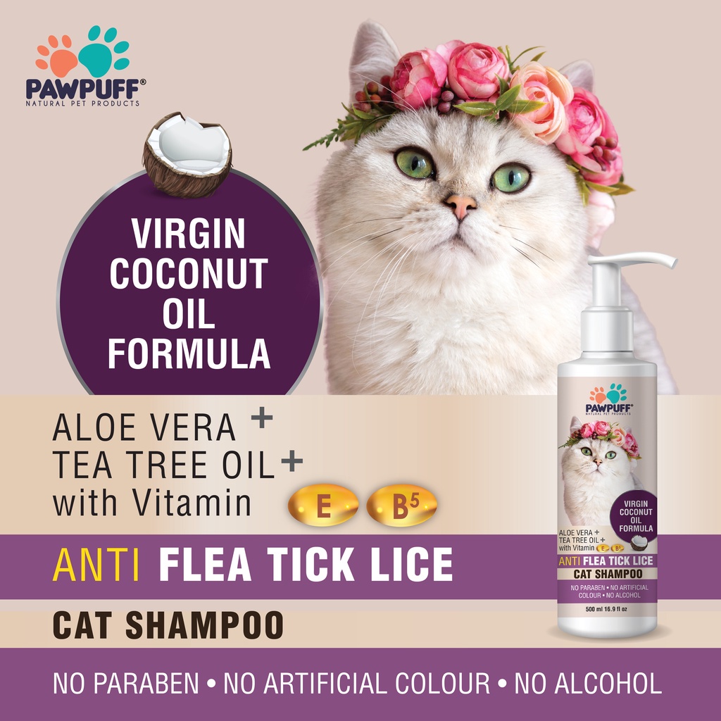 Anti lice outlet shampoo for cats