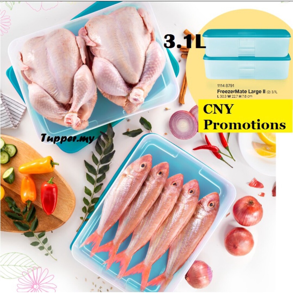 [𝟏𝟎𝟎% 𝐎𝐫𝐢𝐠𝐢𝐧𝐚𝐥 𝐏𝐫𝐨𝐝𝐮𝐜𝐭] 💥READY STOCK💥 FreezerMate Large II 3.1L by ...