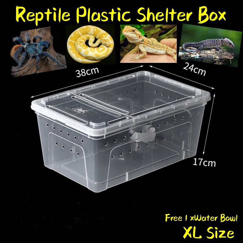 X LARGE Reptile Breeding Box XL Plastic Shelter Box Feeding Reptile Container Box Transport Snake Lizard Ball Python Shopee Malaysia