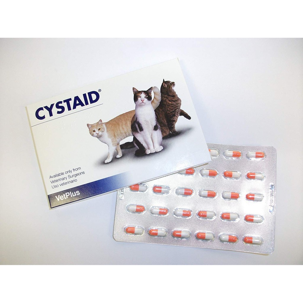 Cystaid Plus for Cats Capsules Original Shopee Malaysia