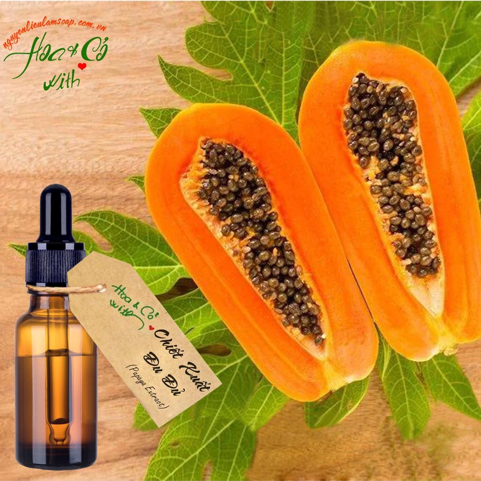 (HCM) Papaya Extract Shopee Malaysia