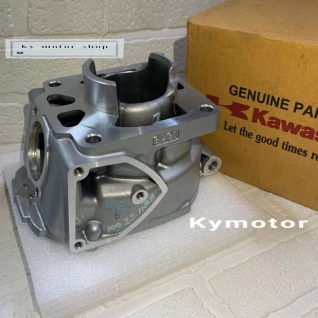 Kawasaki ZX-150 Cylinder Engine | Shopee Malaysia