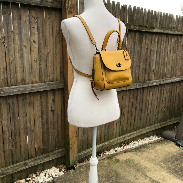 Mini faye 2025 backpack coach