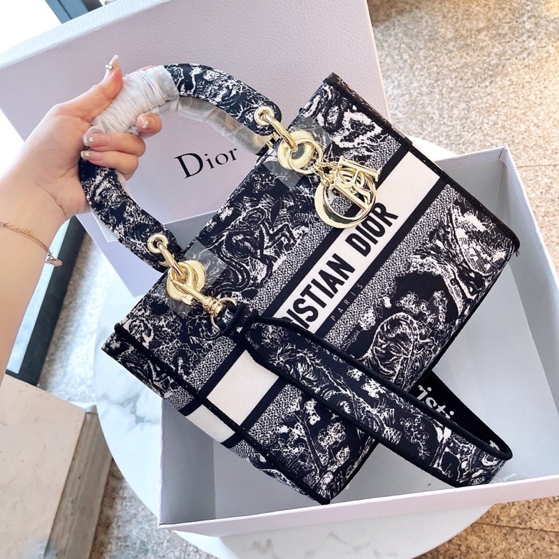 Dior lady online canvas