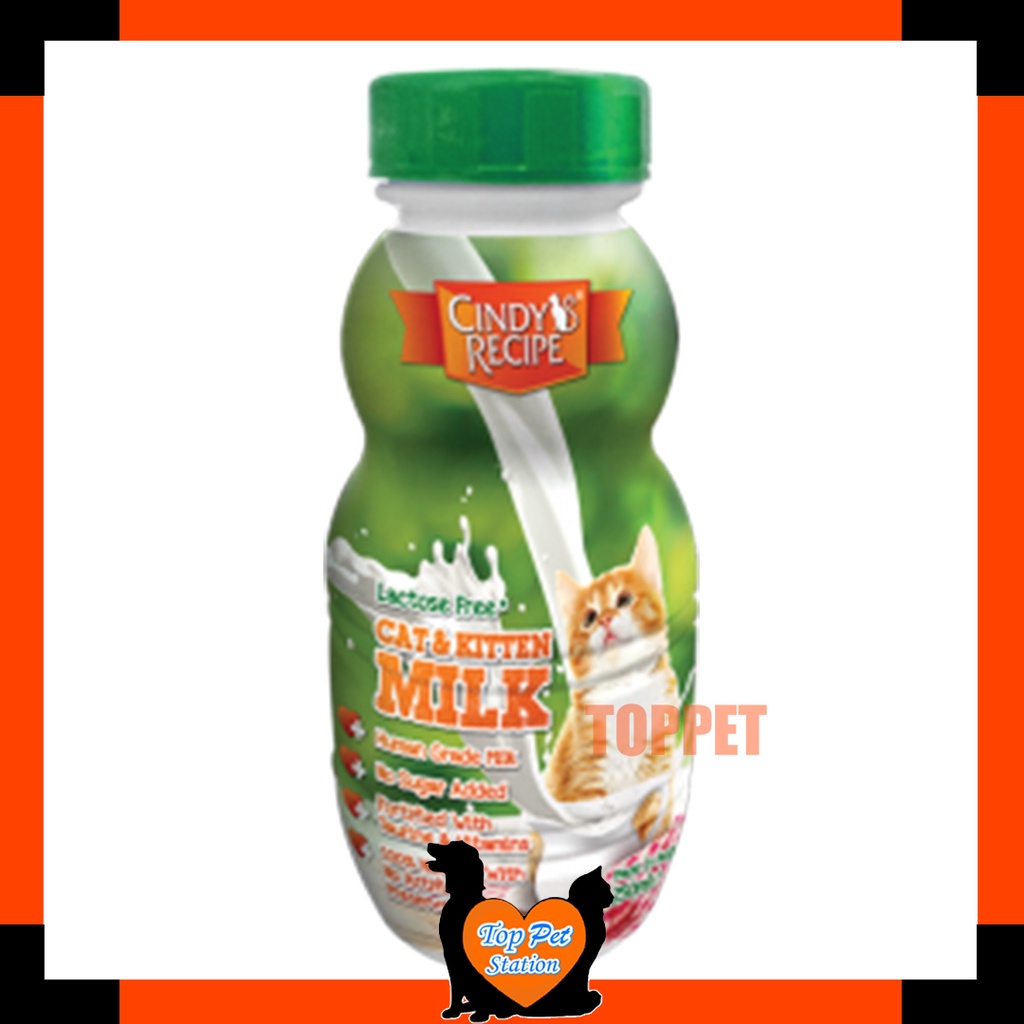 Cindy Recipe Cat & Kitten Milk 250ML Shopee Malaysia