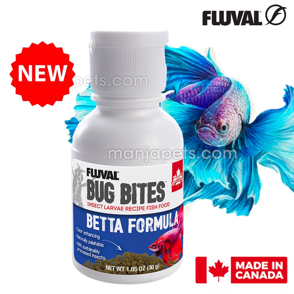 Bug bites cheap for betta