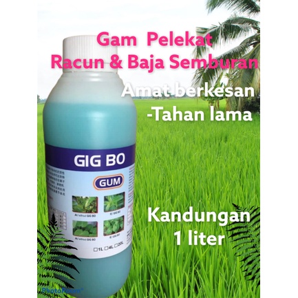 1 LIT. / GIG Bo / Gam Pelekat Racun Serangga , Racun Kulat , Racun ...