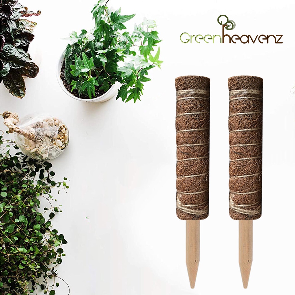 Extendable Coco Stick Pole | Coco Fiber Garden Stake | Climbing Plant ...