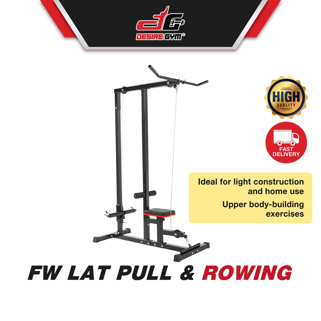 Desire Gym FW Lat Pull & Rowing Fitness Equipment Workout Exercise Ball