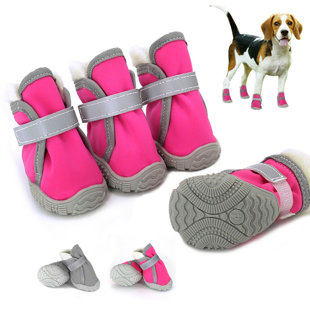 Dog sales shoes shopee