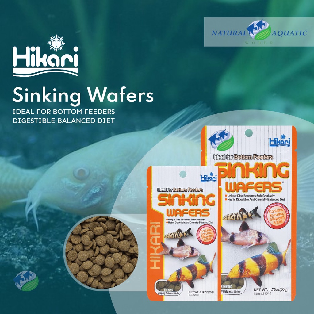 Hikari Sinking Wafers (25g /50g) Ideal for Bottom Feeders, Catfish food, Loaches food, Plecos