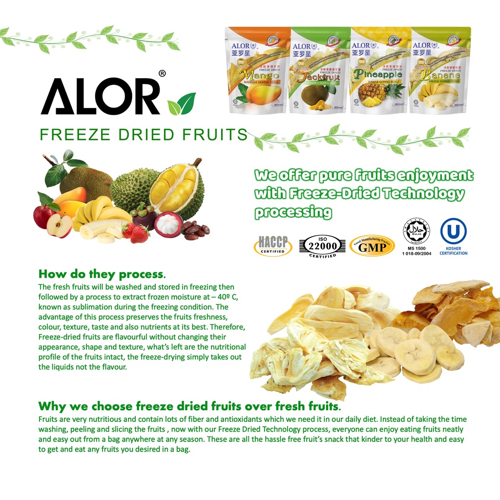 Alor Freeze Dried Real Fruits Jackfruit Pineapple Banana Mango 20g Shopee Malaysia 5514