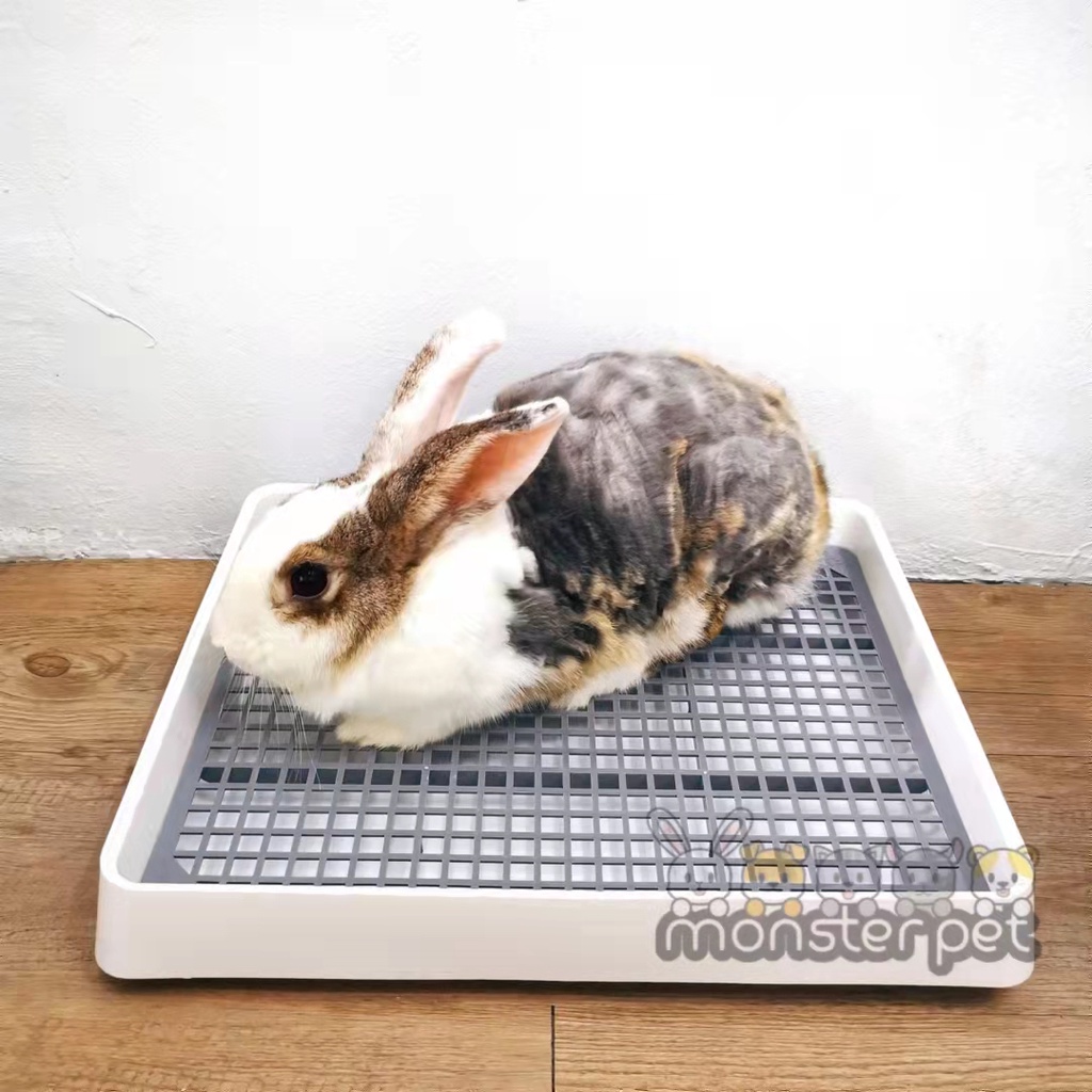 Rabbit small toilet Guinea Pig toilet Dog toilet Rabbit litter tray ...
