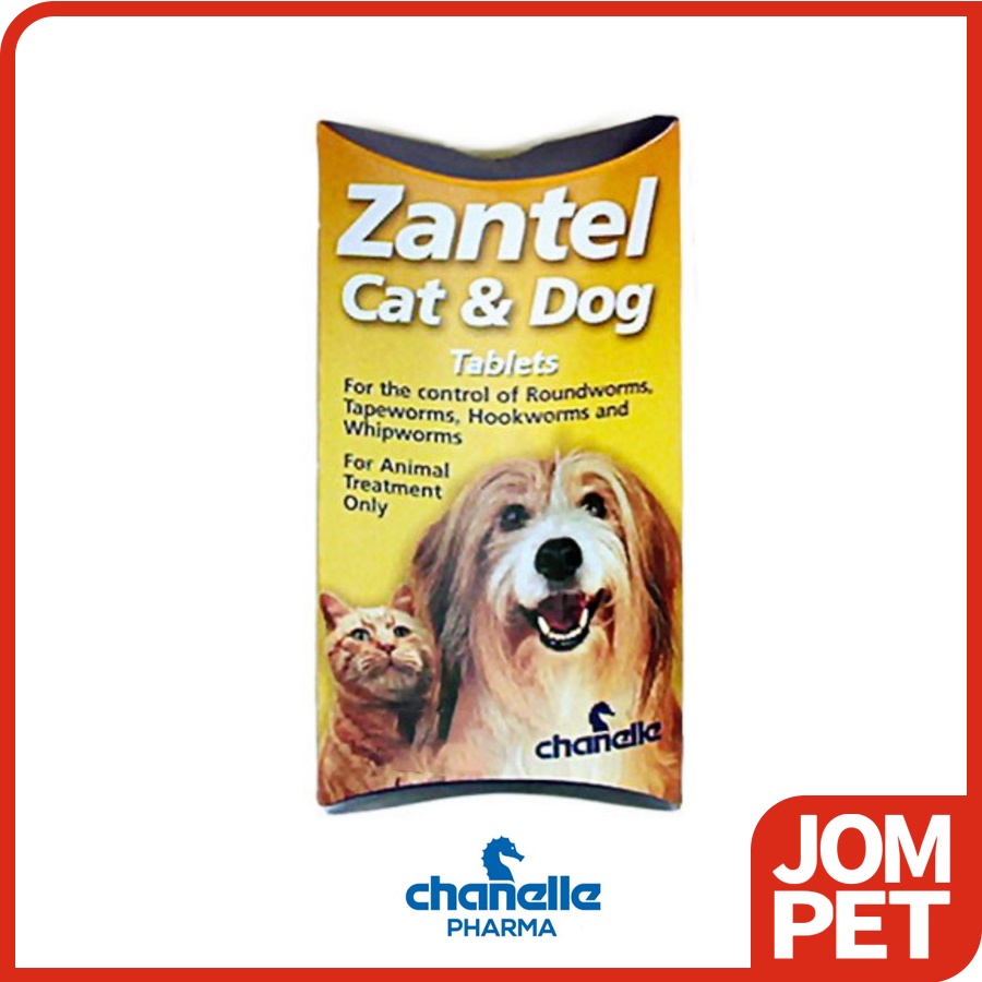 Zantel cat and store dog