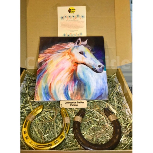 Lucky Large Worn/Used Horseshoe (Ladam Kuda/ KUTHIRAI LAADAM) Gift