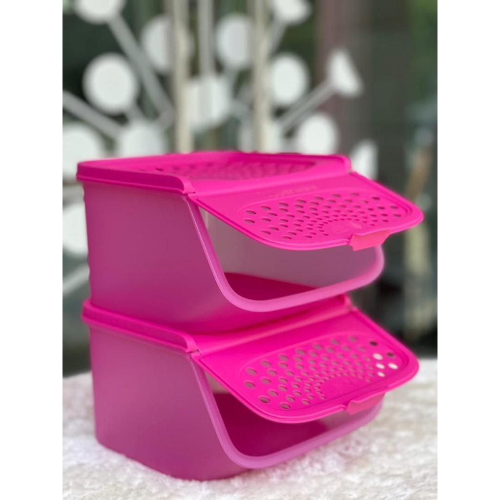 Tupperware Garlic N All Keeper 2.3L