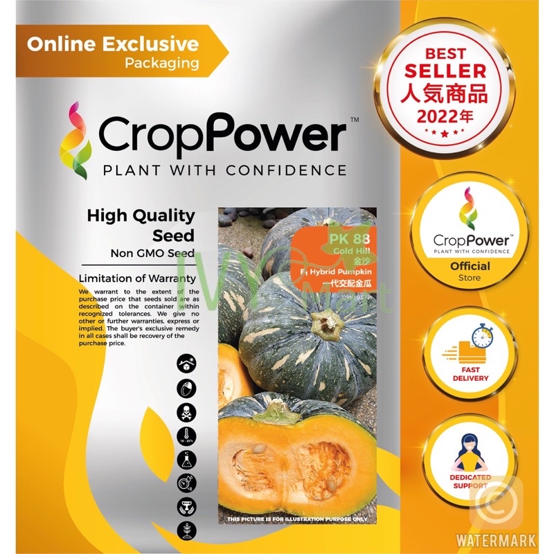 Biji Benih Labu / Pumpkin Seeds / 南瓜种子 - CROP POWER (F1 Hybrid PK 88 ...