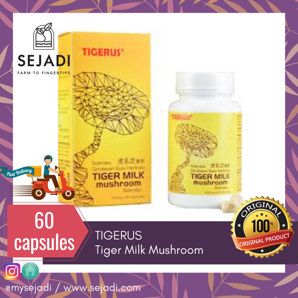 TIGERUS Tiger Milk Mushroom Sclerotia / Cendawan Susu Harimau for