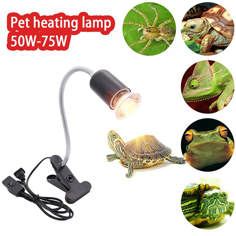 Pet 50/75W Reptile Lamp with Clipon 220V Bulb Lamp Holder Turtle Tortoises Heating Lamp Lizard