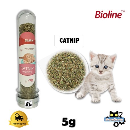 Bioline Catnip Invigorating 5G - Catnip For Cat / Natural Catnip ... - Senior Cat Mood Enhancers With Catnip