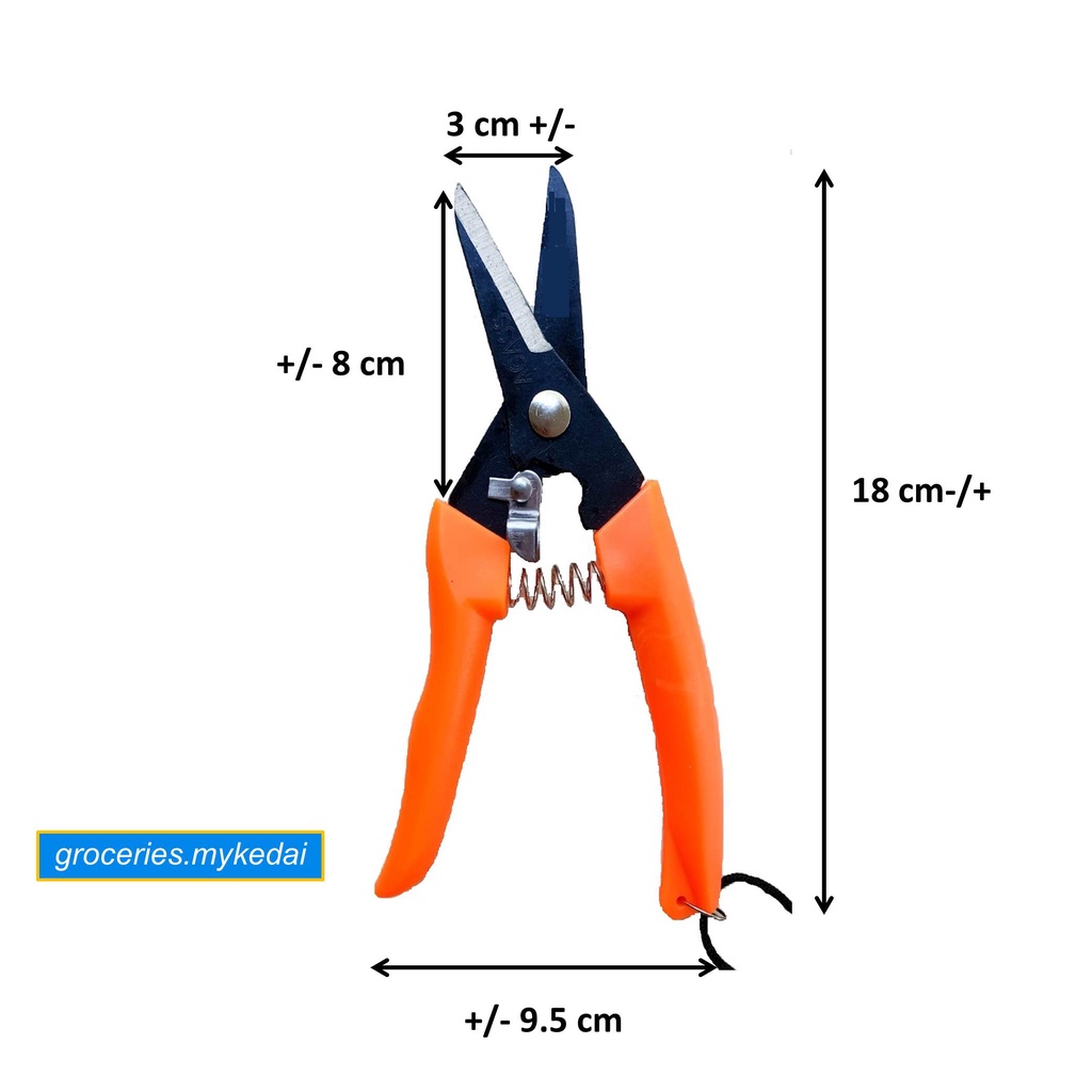 [Ready Stock] Japan Buddy Tape / Grafting Tape / 5ft / 10ft / 15ft