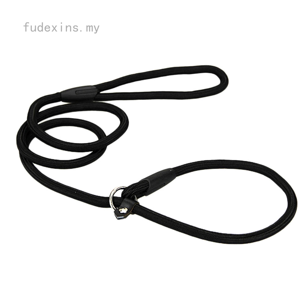P leash store