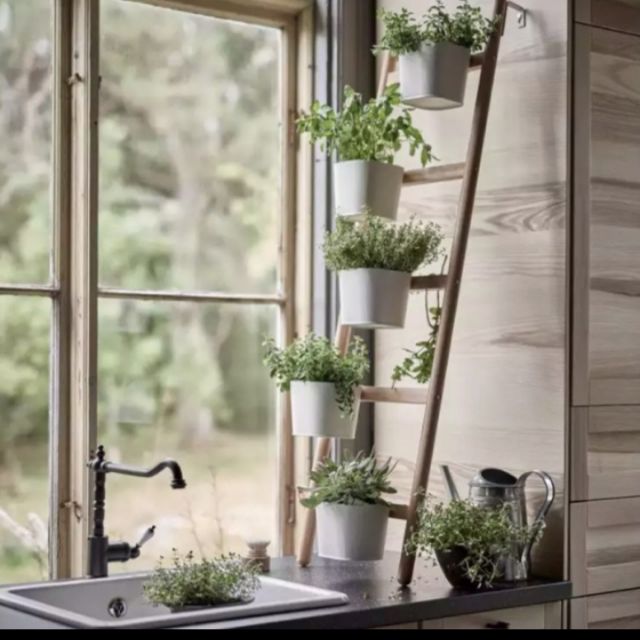 ladder rack, rack deco | Shopee Malaysia