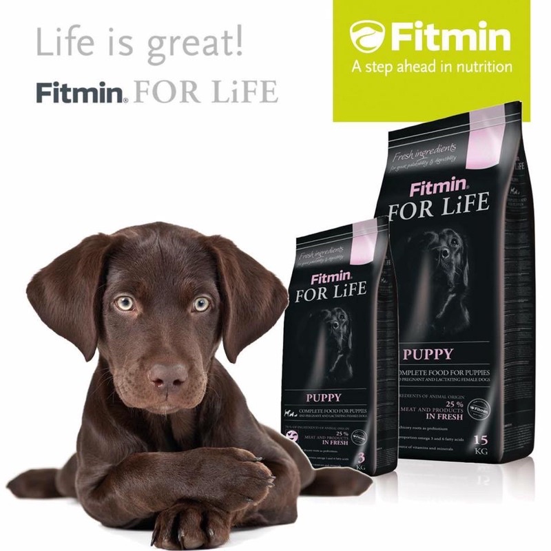 Fitmin grain food for all dog breeds 400g bag | Shopee Malaysia