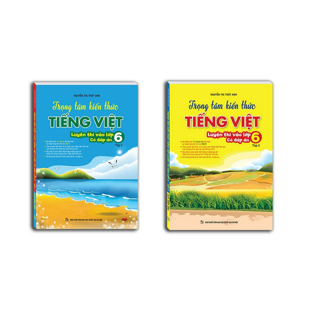 Book - Combo 2c Focus on Vietnamese knowledge (6th grade entrance exam ...