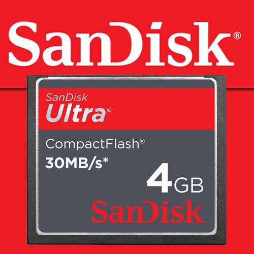 CF Card CompackFlash SanDisk 4 GB SDCFH-004G (Clear Stock) | Shopee ...