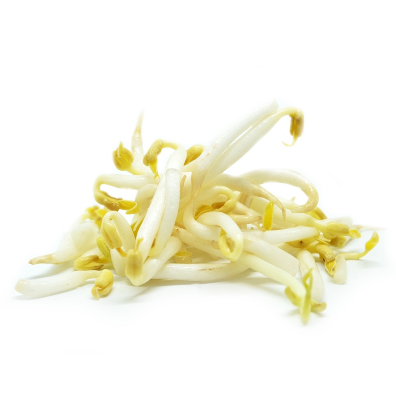 Perbezaan Bahan Dapur Yang Mengelirukan: Panduan Lengkap & Mudah Faham